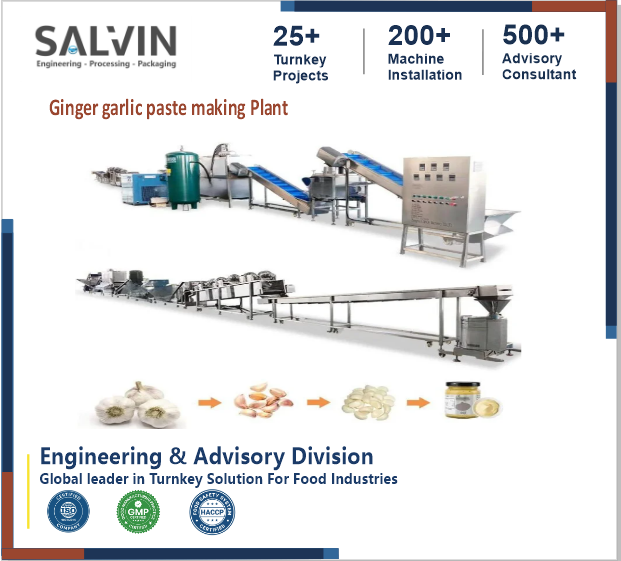 Ginder Garlic Paste Making Plant
