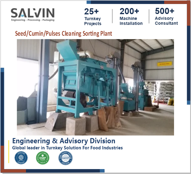 Seed/Cumin/Pulses Cleaning Sorting Plant