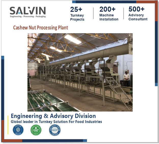 Automatic Cashew Nut Processing Plant