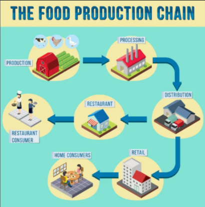 Supply Chain Management